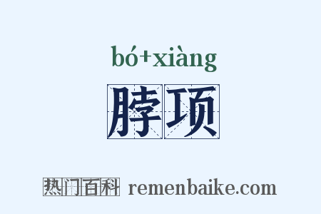 脖项是什么意思的图片
